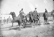 1897 10 07 Arménie Erevan chameaux
