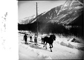 1908 01 Chamonix ski Tailing